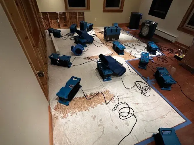 Rows of air movers drying a bare subfloor after flooring was removed, a Monroe example