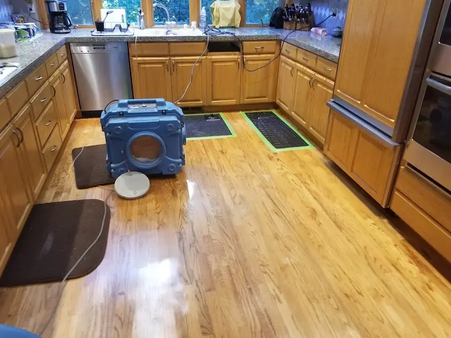 Appliance Leak Water Damage in Arlington, WA