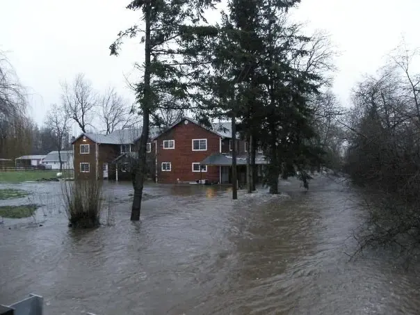 Flood Water Cleanup in Arlington, WA